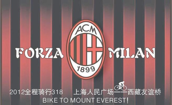 塞尔塔反击 塞尔塔反击