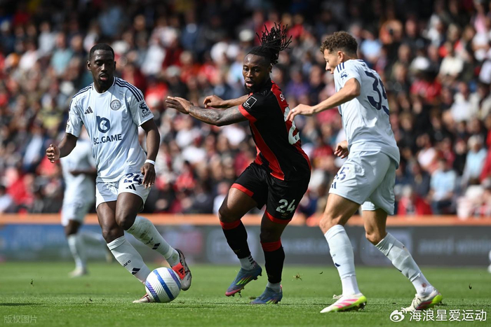 不是预测 不是预测